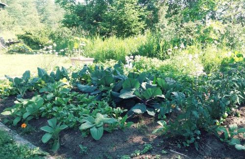 Notre-Dame-des-Monts Bed & Breakfast | Gite Pousse Pioche