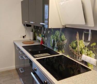 Kappeln Apartment | Gittis Condo