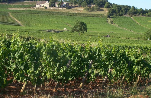 Givry Hotel | Givry Bed and breakfast in a peaceful setting on the Chalonnaise coast
