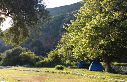 Jala Other | Gjipe eco campground