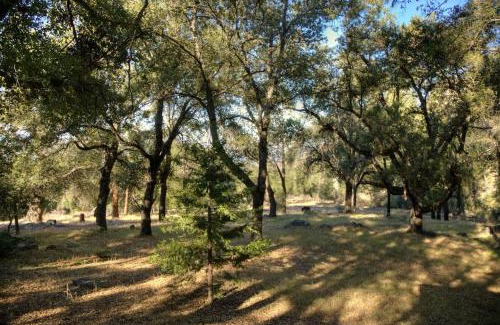 Pauma Valley Other | Glamping Bell Tent Escape on Palomar Mountain