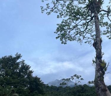 Katira Other | Glamping Finca garza del sol