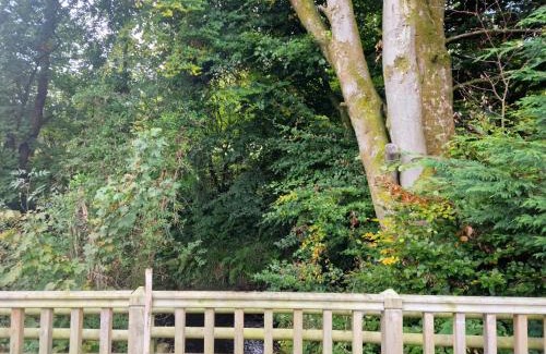 Llanfair Caereinion House | Glamping Hut - Riverside 1