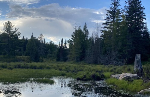 Gooderham Cabin | Glamping in luxury