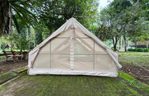 Tapah Other | Glamping