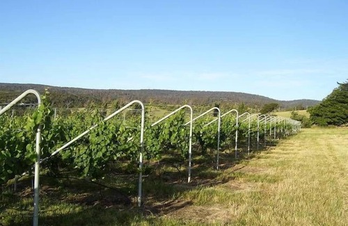 Waverley Apartment | Glenayr Shearers Quarters Apartment