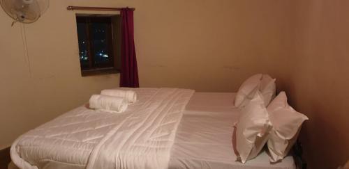 Amar Sagar Pol Hotel | Golden villa