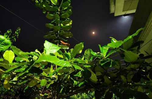 Kushtia Villa | Golpo Bari