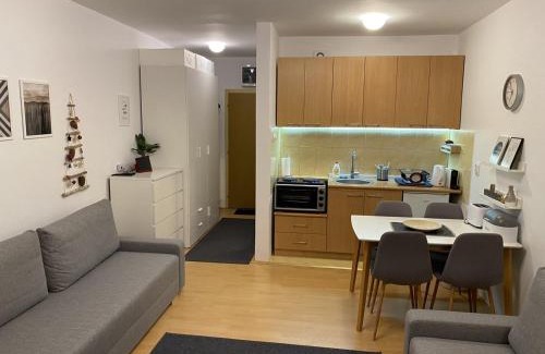 Brzece Apartment | GONDOLA Apartment Košuta Iva