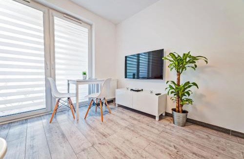 Poznan City Center Apartment | Good Time Apartments Centrum Strzelecka B