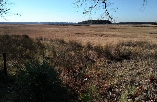Green Pond House | Gorgeous Camper RV Spot Marshfront Sunsets Overlooking ACE Basin and Bear Island