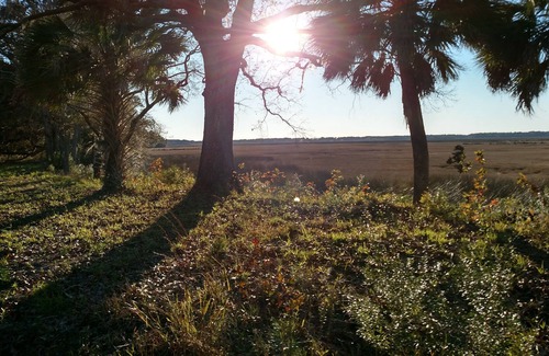 Green Pond House | Gorgeous Camper RV Spot Marshfront Sunsets Overlooking ACE Basin and Bear Island