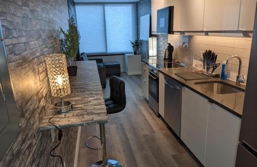 Downtown Apartment | Gorgeous looking 2 bedroom Apt in downtown silverspring