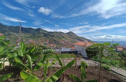Machico Apartment | Gouveia Family Escape