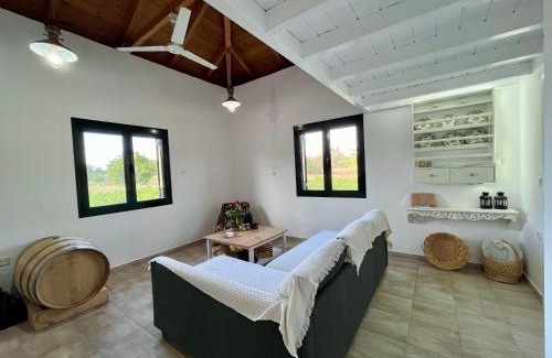 Kymi-Aliveri House | Gozzadini Vineyard!