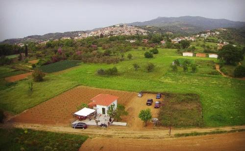 Kymi-Aliveri House | Gozzadini Vineyard!