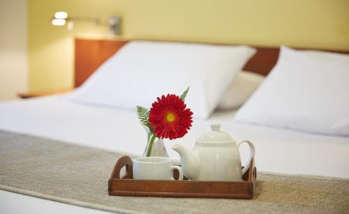 Paysandu Hotel | Gran Hotel Paysandú