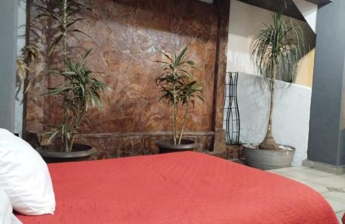 Venustiano Carranza House | Gran México