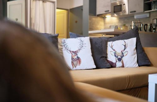 Chamrousse Apartment | Grand appt au pieds des pistes