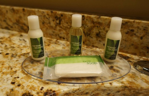 Mount Horeb Hotel | GrandStay Hotel & Suites Mount Horeb - Madison