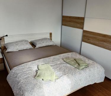Cerknica Apartment | Green Apartment Cerknica