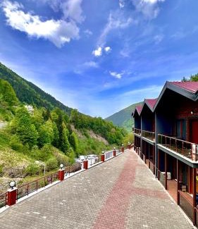 Uzungol Apartment | Green Cinar Apart