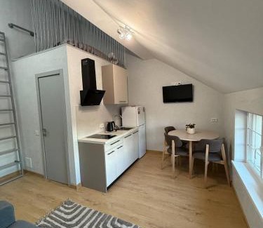 Kolomyya Apartment | Green door
