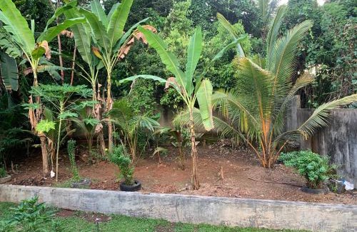 Patuwatha Apartment | Green heaven Hikkaduwa