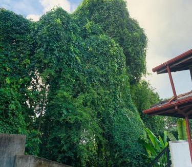 Patuwatha Apartment | Green heaven Hikkaduwa