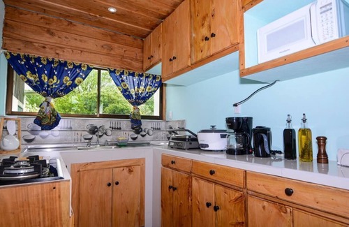 Sierra Ski Chalet | Green House Nest