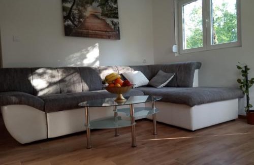 Radanovici Apartment | Green Side