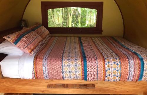 Greytown Resort | Greytown Campground