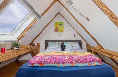 Schonach im Schwarzwald Apartment | Großes Ferienhaus mit Sauna, Grill, Garten, Kaminofen - Zum Kuckuck