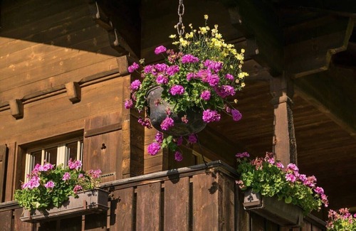 Saanen Ski Chalet | Gstaad Duplex Flat - Amazing Lake Chalet with pond