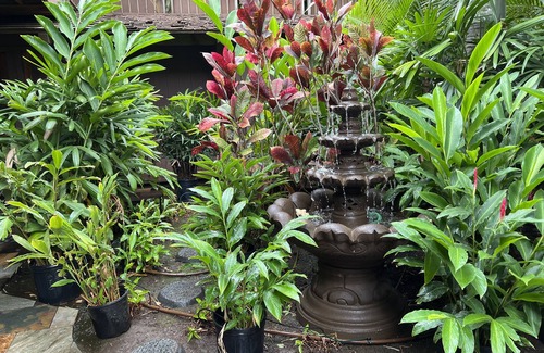 Kihei Bed & Breakfast | Guava Suite