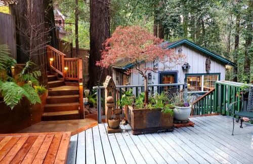 Guerneville House | Guerneville Cottage! Redwoods! Hot Tub! Fire Table! Fast WiFi! Serenity Defined!