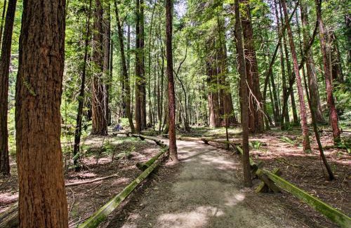 Guerneville House | Guerneville Home - Walk to the Russian River!