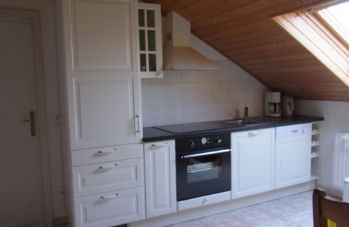 Neustadt-Geinsheim Apartment | Guesthouse Evi with palm garden, between Speyer and Neustadt a. d. Wine route