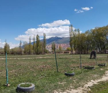 Naryn Region House | Guest house Aruu