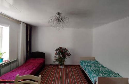Naryn Region House | Guest house Aruu