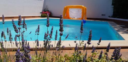 Vinkuran House | Guest house Bizjak