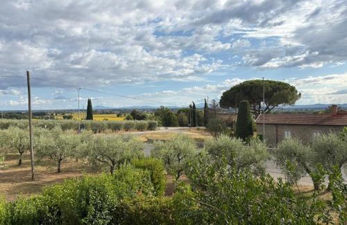 Montecchio House | Guest House Fiore di Loto