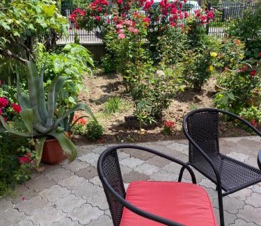 Transcarpathia House | Guest House in Drachino