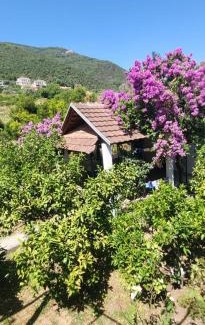 Denovici Apartment | Guest House SAM-WATER