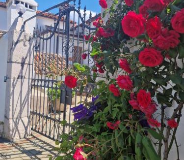 Brsec House | Guesthouse Villa Galovic