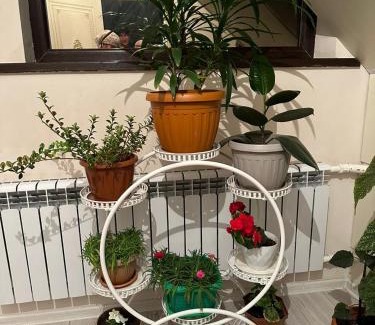 Kazarman House | GULMIRA guest house
