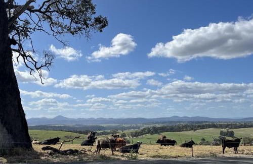 Seaton Villa | Gumnut Cottage Gippsland - Tiny Eco Stay w King Bed & Mountain Views