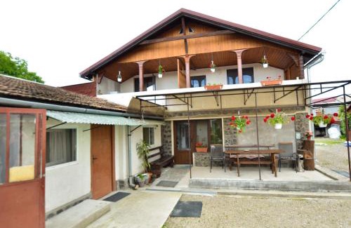 Sfantu Gheorghe House | Gyongyver Panzio