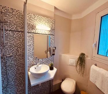 Toulouse City-Centre Hotel | Hôtel Anatole France