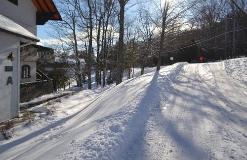 Mont-Tremblant Condo | Hôtel du lac - RVMT